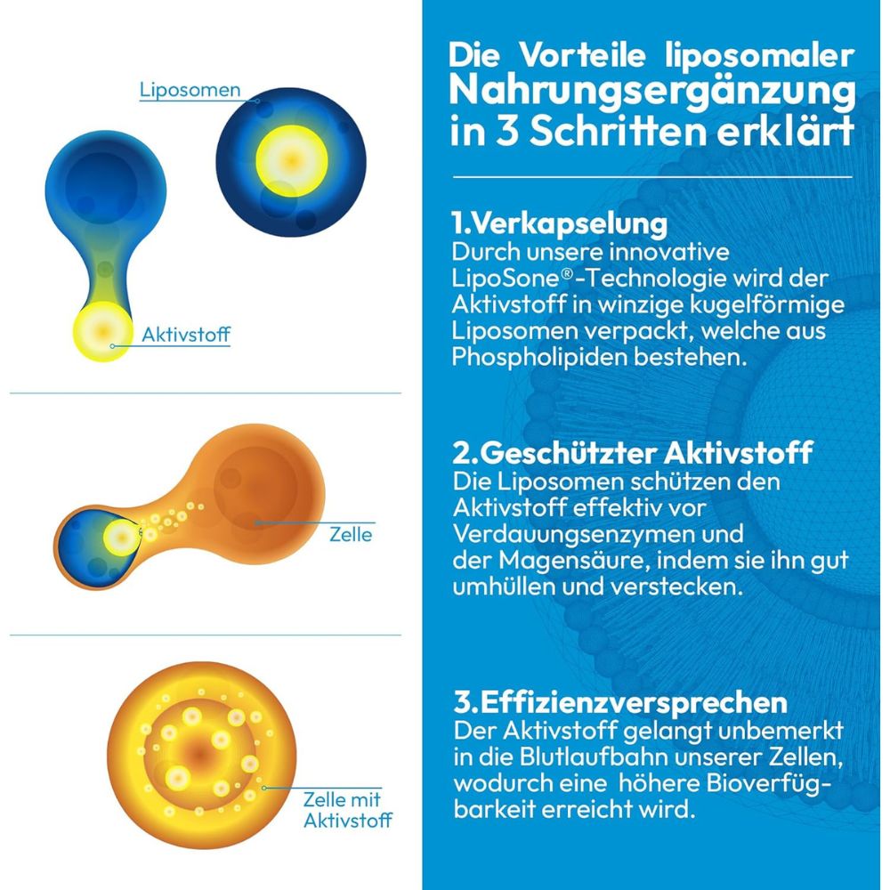 ActiNovo | Magnesium Liposomal mit Zitrone-, Basilikum-, Holundergeschmack - 250ml
