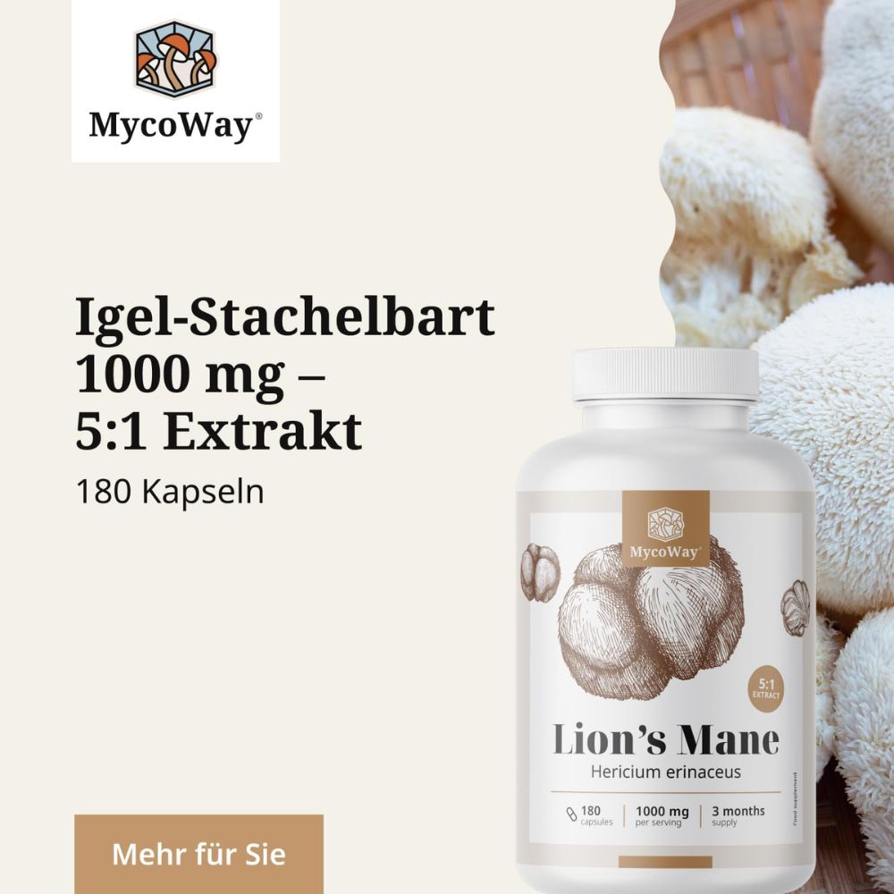 MycoWay | Lion's Mane 1000 mg – Extrakt 5:1 - 180 Kapseln