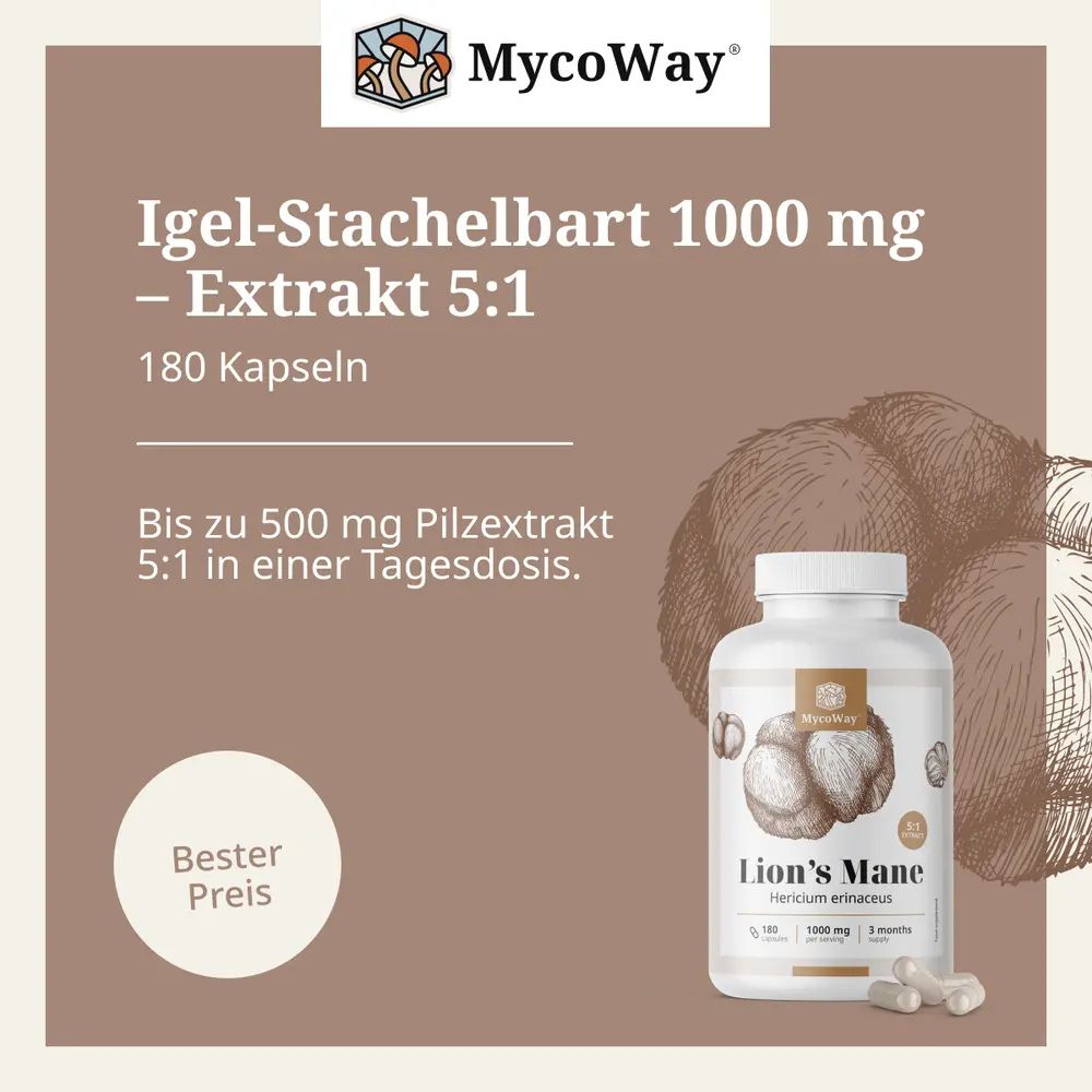 MycoWay | Lion's Mane 1000 mg – Extrakt 5:1 - 180 Kapseln