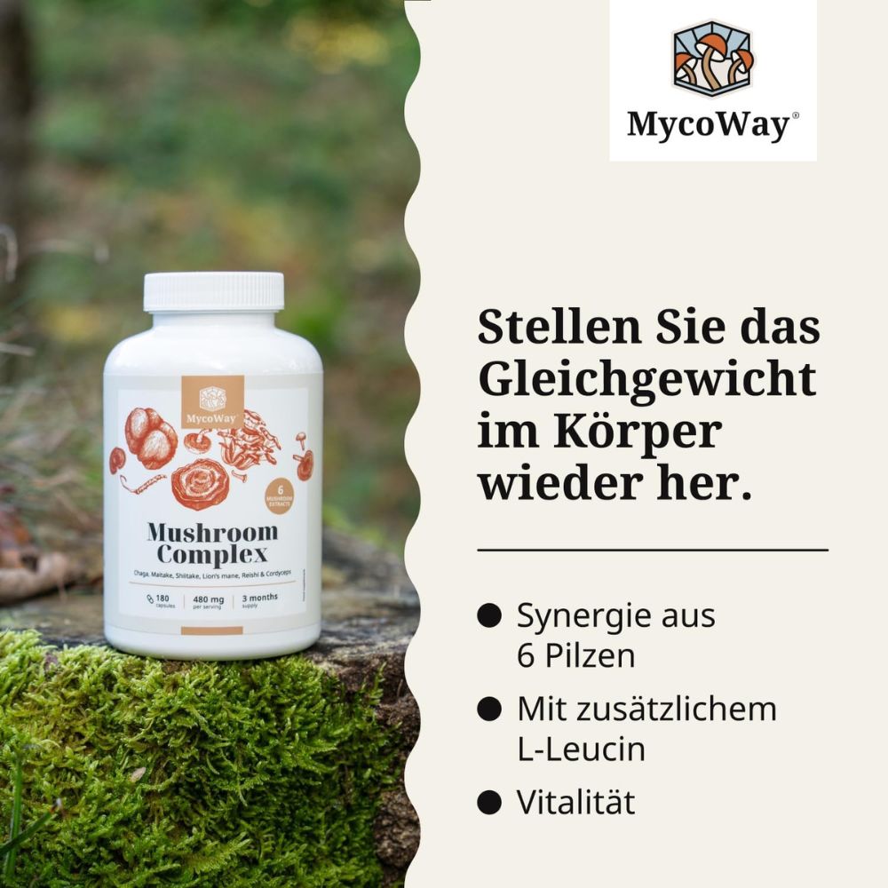 MycoWay | Pilzkomplex zur Stärkung und Unterstützung des Körpers - 180 Kapsel