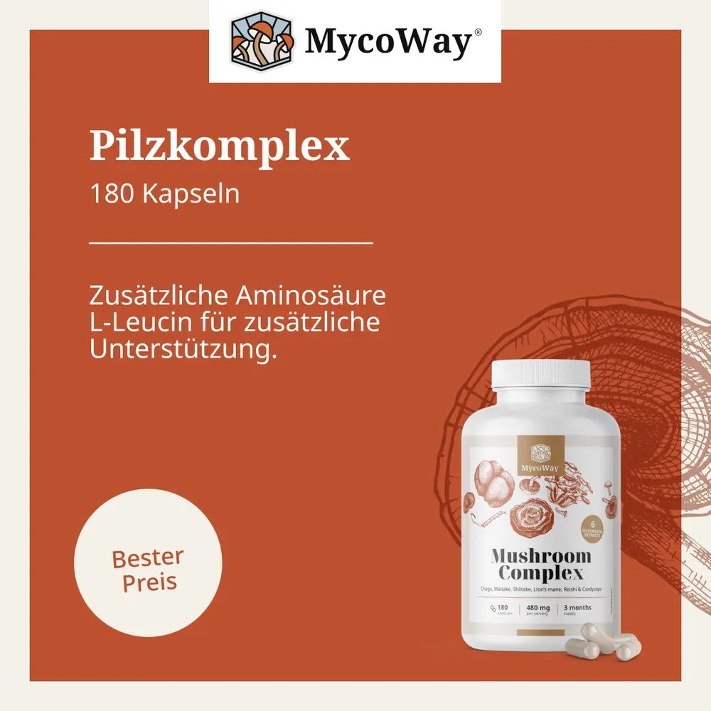 MycoWay | Pilzkomplex zur Stärkung und Unterstützung des Körpers - 180 Kapsel