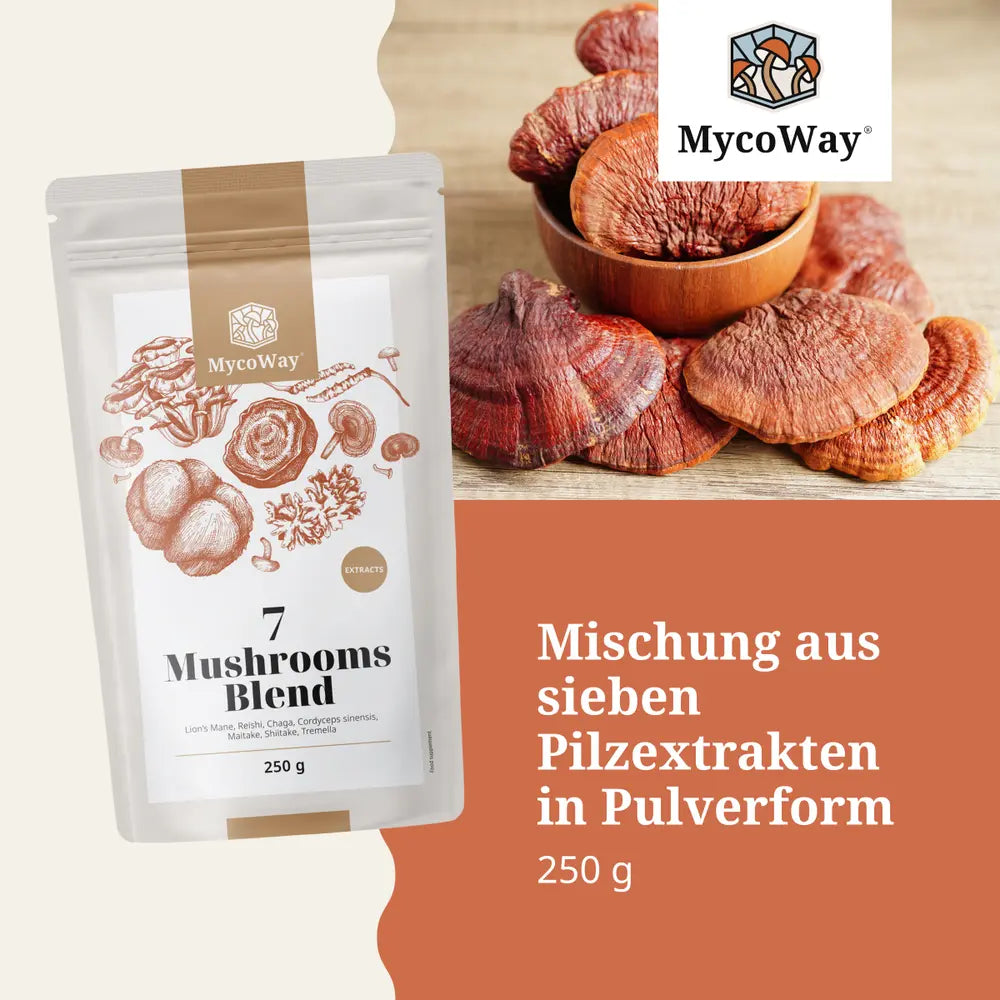 MycoWay | Mischung aus sieben Pilzextrakten - 250g Pulver