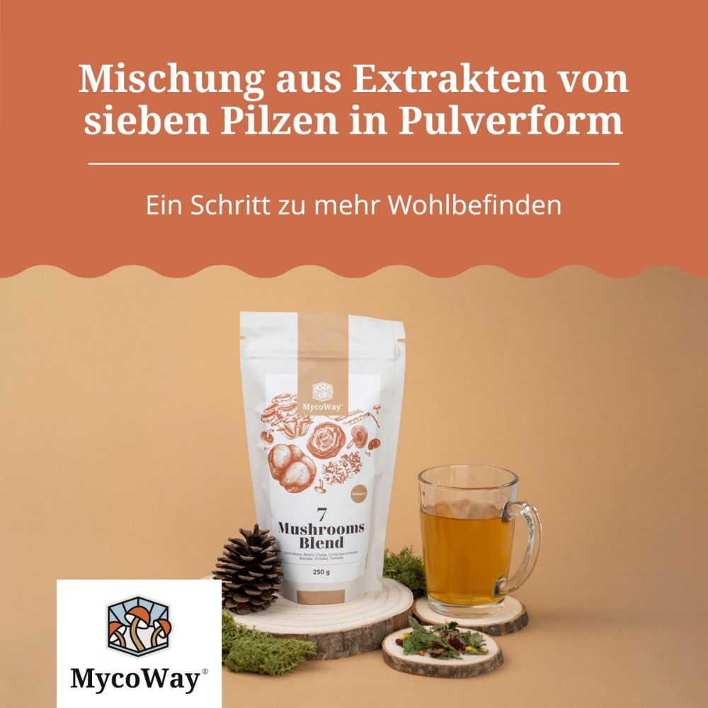MycoWay | Mischung aus sieben Pilzextrakten - 250g Pulver