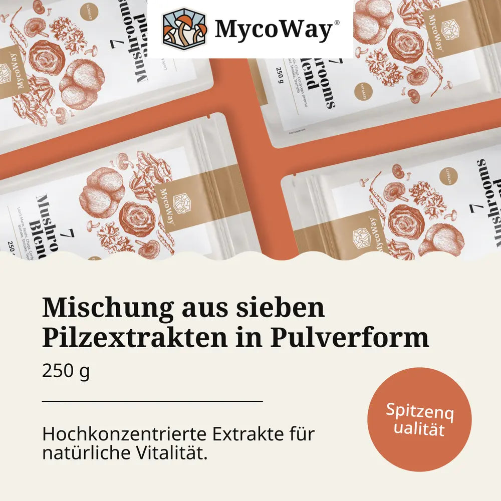 MycoWay | Mischung aus sieben Pilzextrakten - 250g Pulver