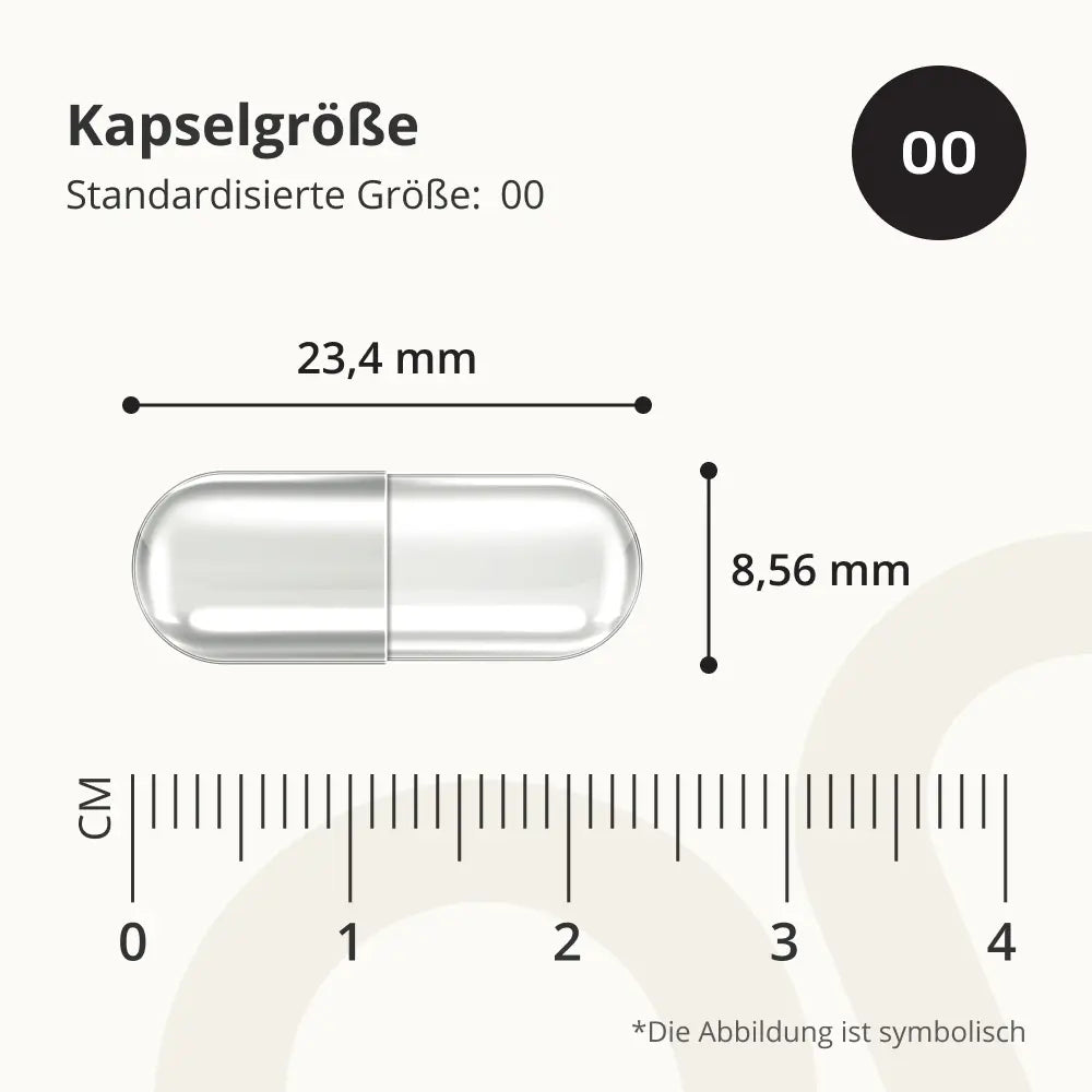 OnEnergy | Kreatin Monohydrat 3000 mg für der körperlichen Leistungsfähigkeit - 240 Kapseln