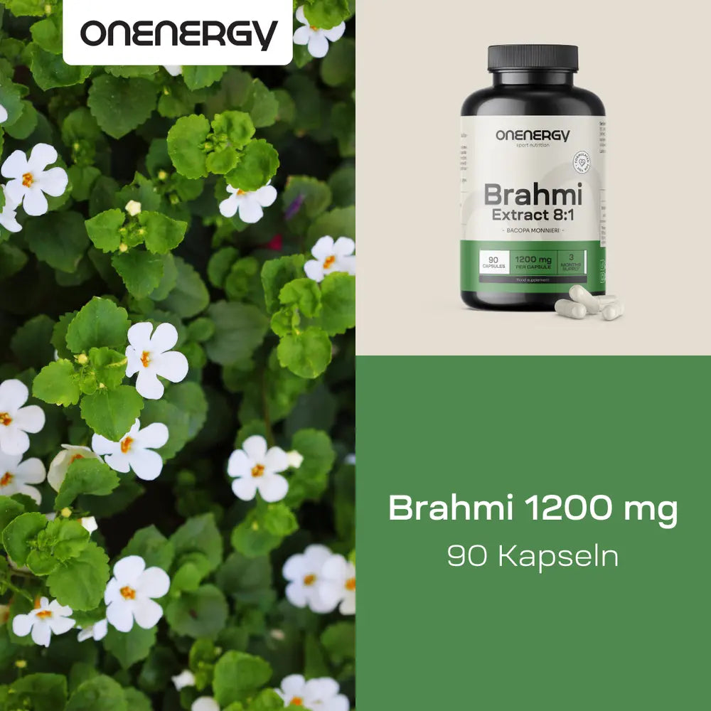 OnEnergy | Brahmi 1200 mg - Lernen, Konzentration und Denkfähigkeit - 90 Kapseln