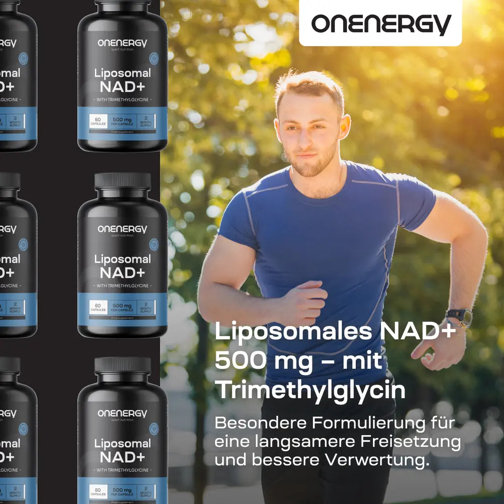 OnEnergy | Liposomales NAD+ 500 mg – mit Trimethylglycin - 60 Kapseln
