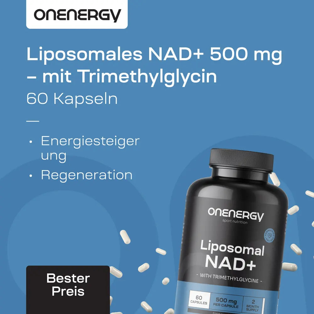 OnEnergy | Liposomales NAD+ 500 mg – mit Trimethylglycin - 60 Kapseln