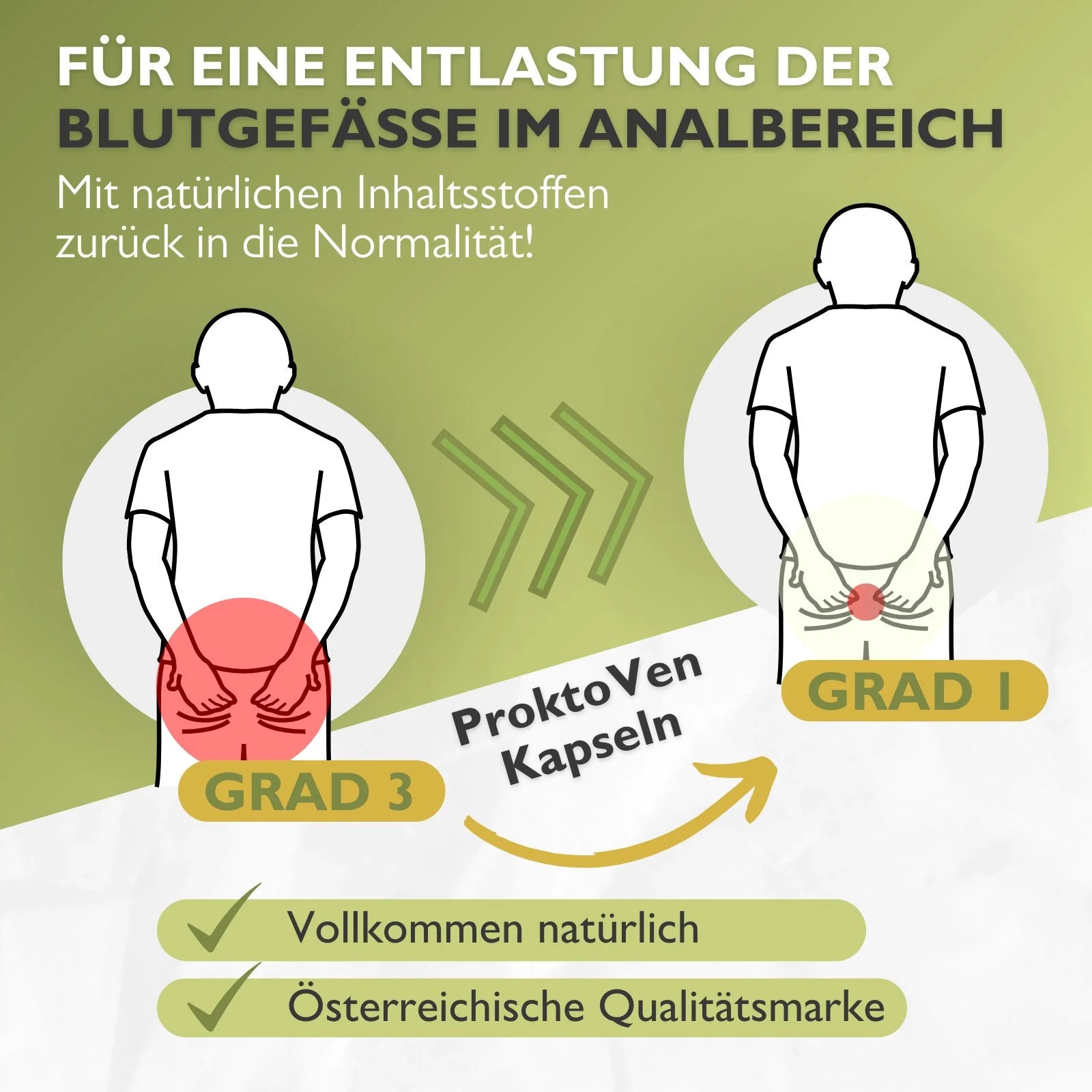 Code Vital ProktoVen Gefäß-Komplex - Polyphenole zur Entlastung der Blutgefäße im Analbereich