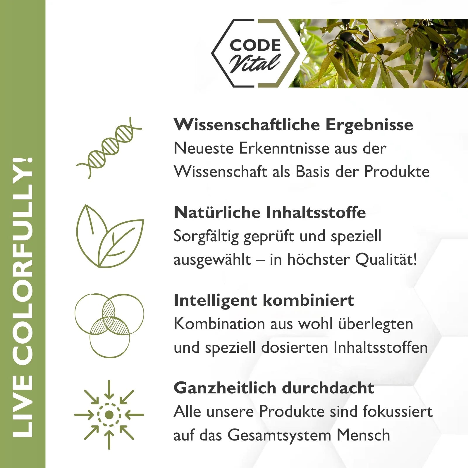 Code Vital ProktoVen Gefäß-Komplex - Polyphenole zur Entlastung der Blutgefäße im Analbereich