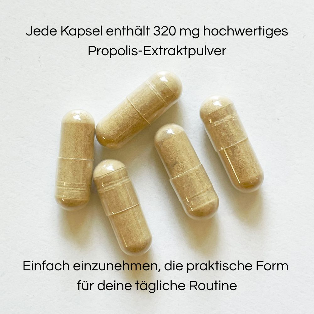 Little Bee Fresh | Propolis 320mg Extraktpulver - 60 Kapseln