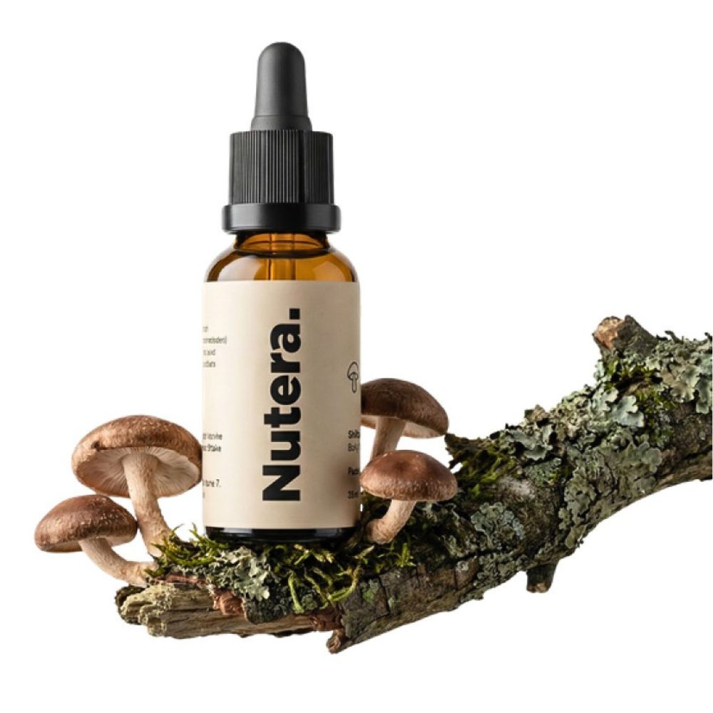 Nutera | Shiitake (Lentinula edodes) Flüssigextrakt 20:1 – 40 % Beta-Glucane – 30 ml