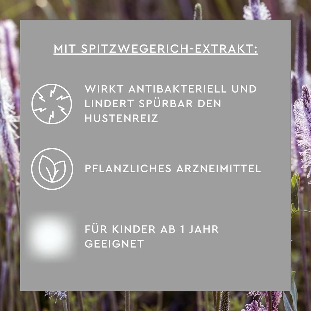 Sunlife | Spitzwegerich Hustensaft V