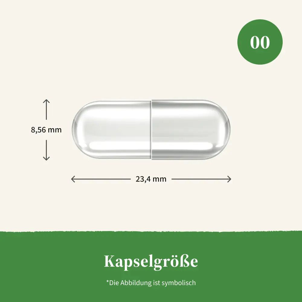 Purely | VenoxSupport Active – für müde und schwere Beine - 60 Kapseln