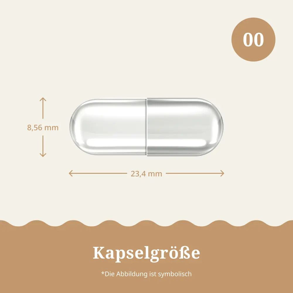 MycoWay | Lion's Mane 1000 mg – Extrakt 5:1 - 180 Kapseln
