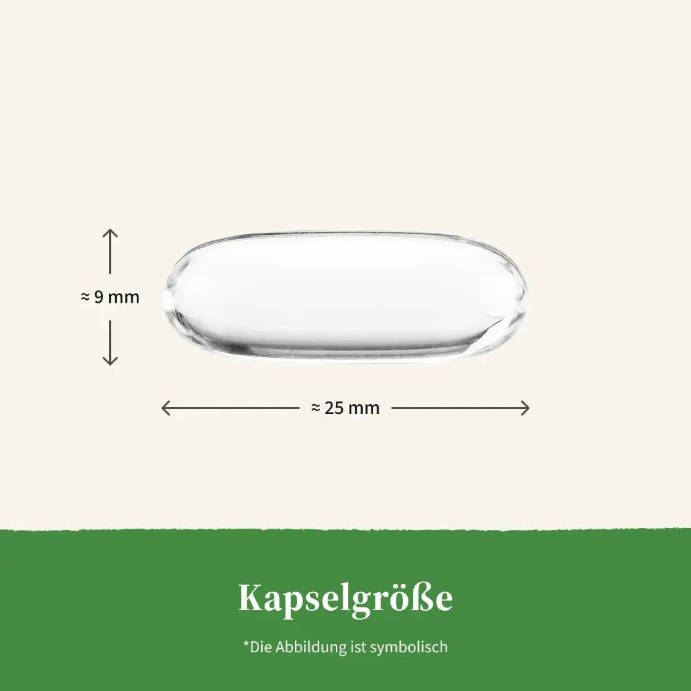 Purely | Omega-3 1000 mg – aus Fischöl - 60 Weichkapseln