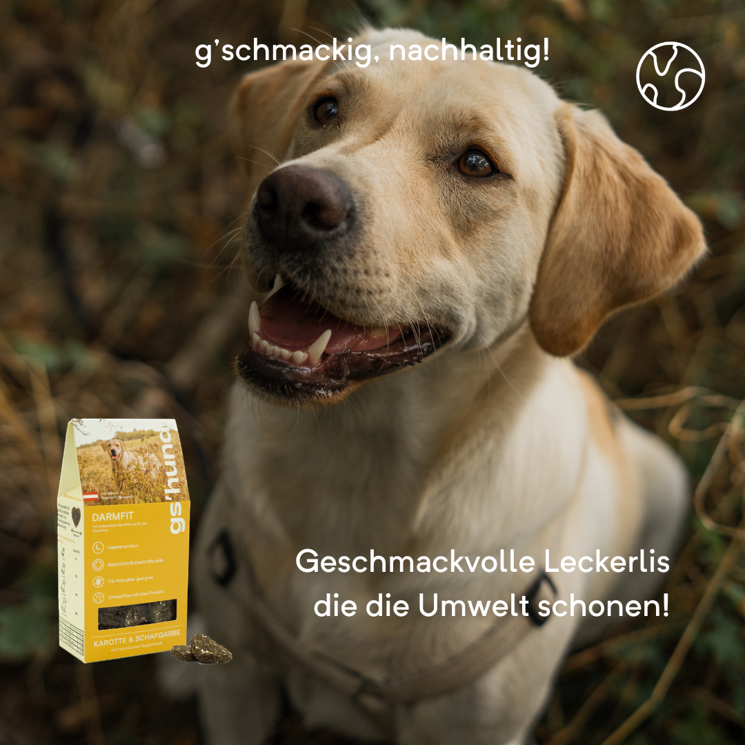 gs´hund I Funktionsleckerli I Darmfit