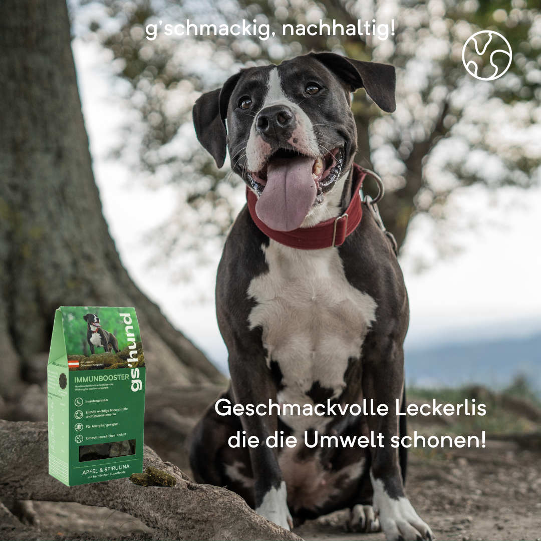 Funktionsleckerli I gs´hund I Immunbooster