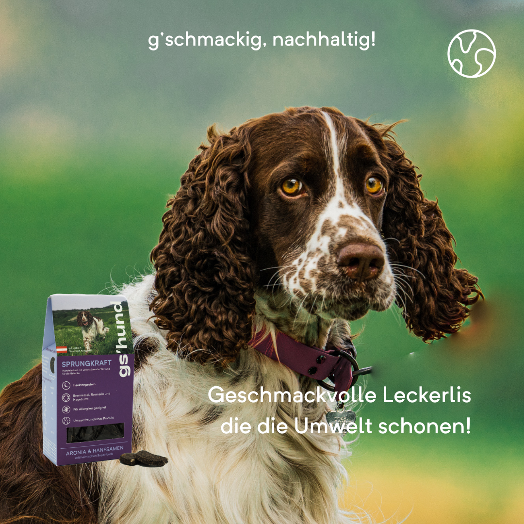 gs´hund I Funktionsleckerli I Sprungkraft