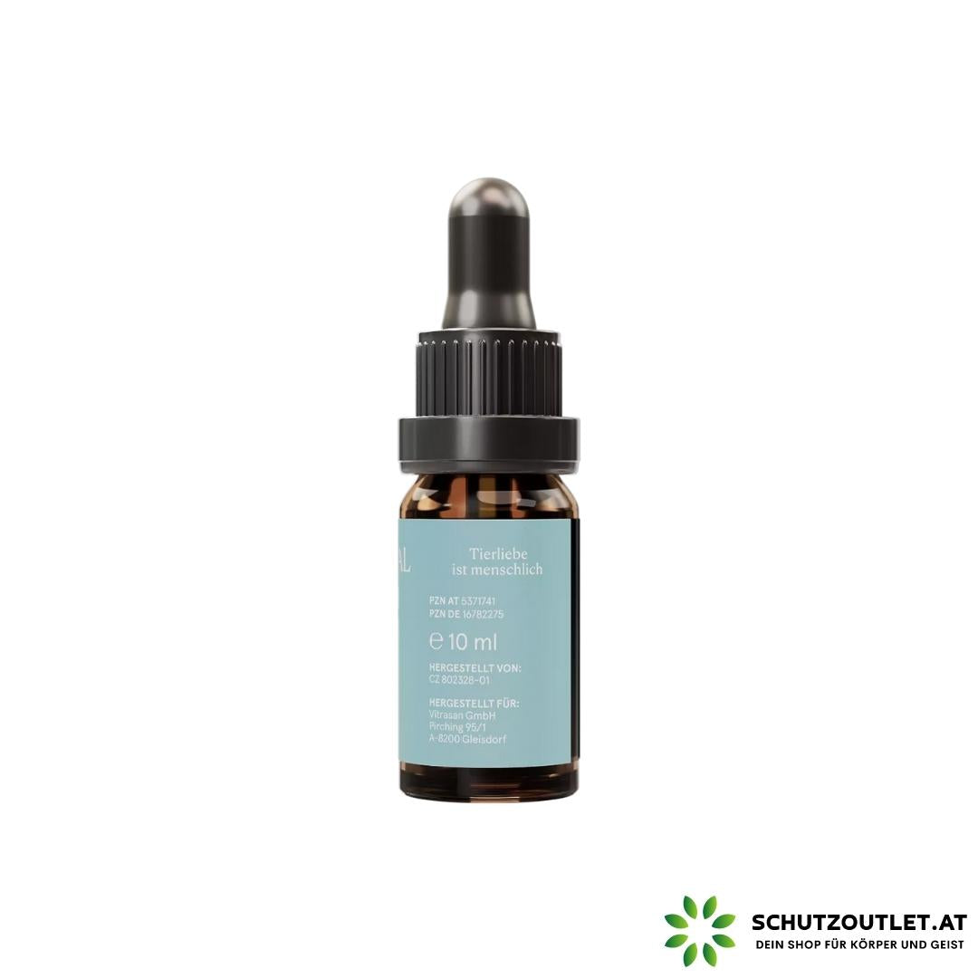 VET CBD 10 Extrakt Premium I CBD Vital I Tierpflegeprodukt