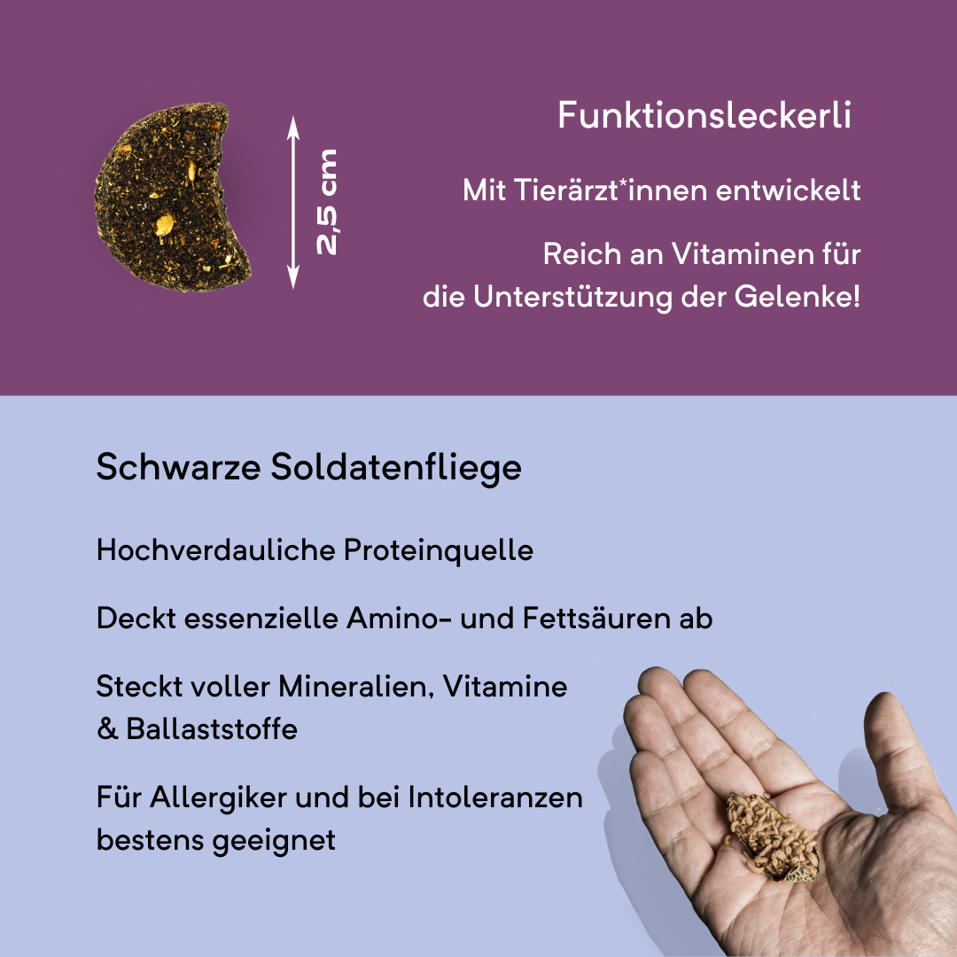 gs´hund I Funktionsleckerli I Sprungkraft